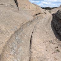 PXL_20250420_093155667