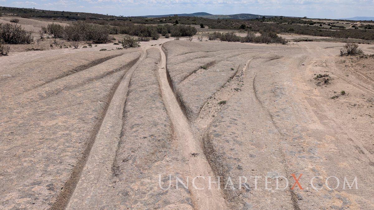 PXL_20250420_094148790