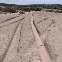 PXL_20250420_094148790