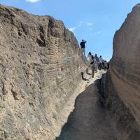 PXL_20250420_124545121