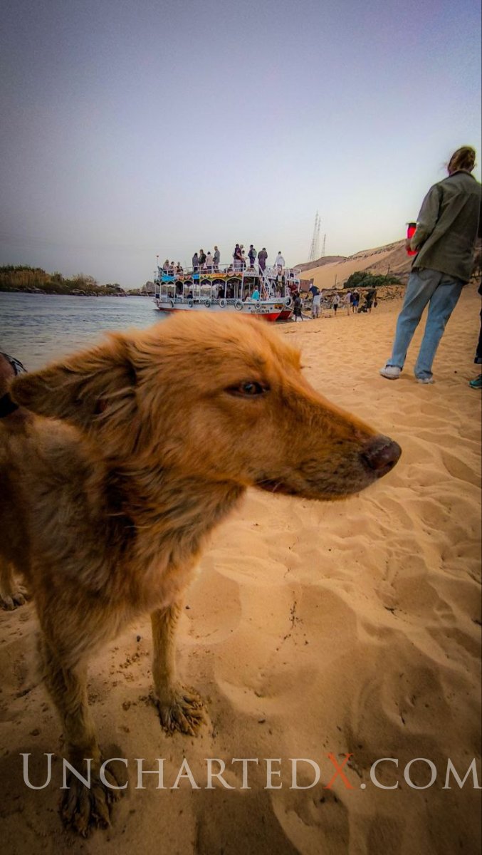 photo_2025-04-19_20-17-56