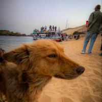 photo_2025-04-19_20-17-56