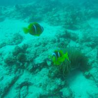 DCIM\100GOPRO\GOPR8406.
