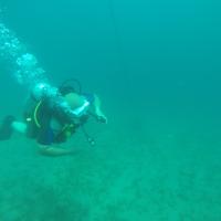 DCIM\100GOPRO\GOPR8453.