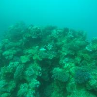 DCIM\100GOPRO\GOPR8467.