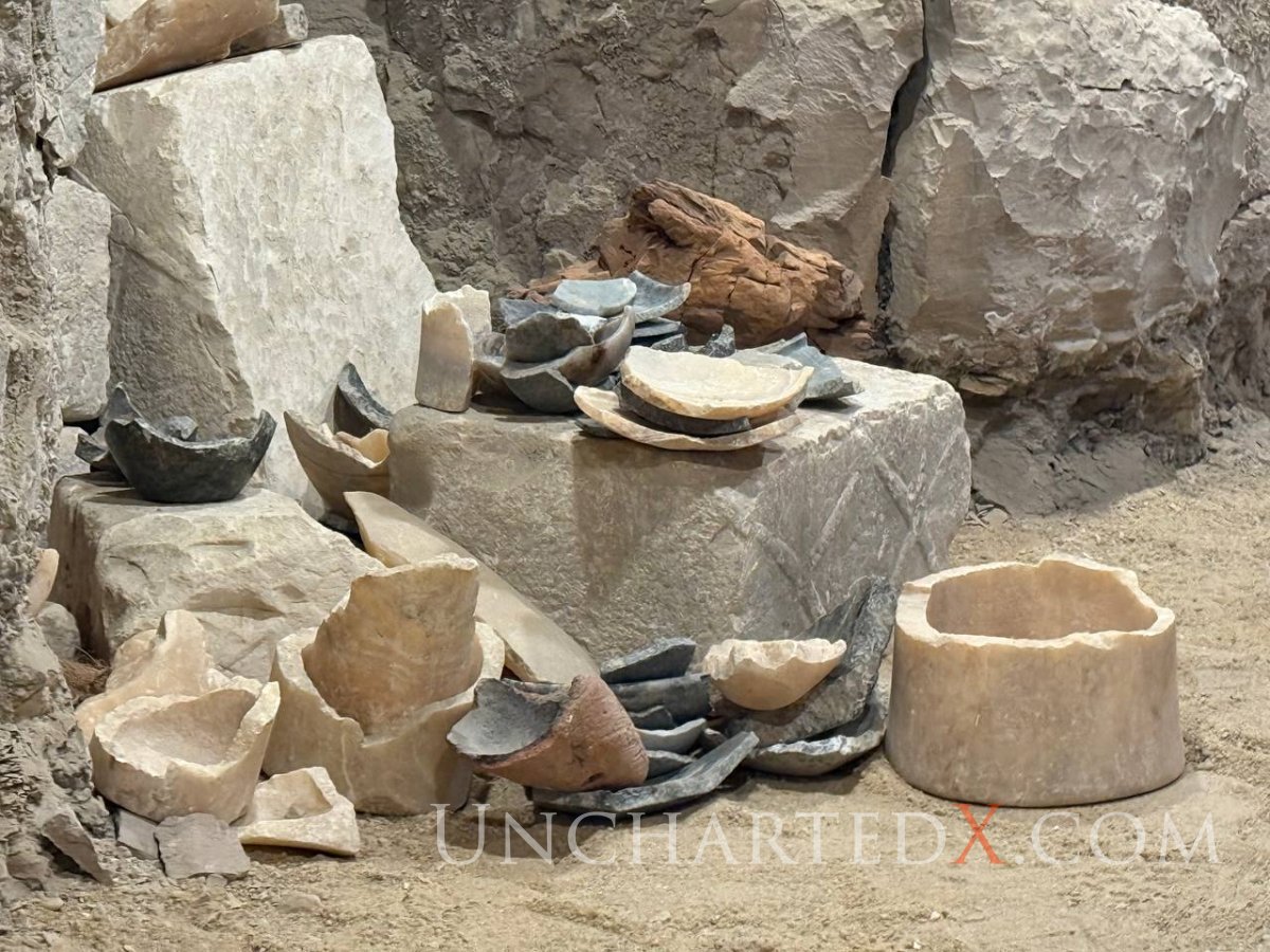 photo_2025-03-12_08-21-31