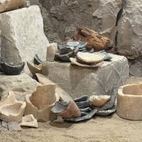 photo_2025-03-12_08-21-31