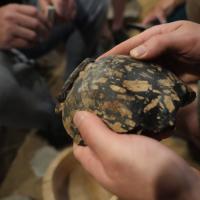 photo_2025-04-19_19-52-35