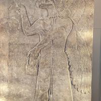 PXL_20230728_113030980.MP