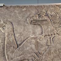 PXL_20230728_113042183