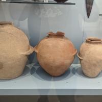 PXL_20230728_114112719