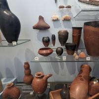 PXL_20230728_114236652