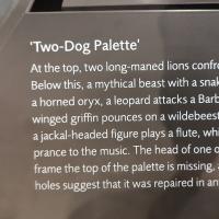 PXL_20230728_114603095