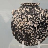 PXL_20230728_114829882