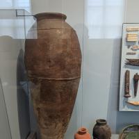 PXL_20230728_115506225