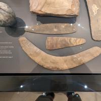 PXL_20230728_115543413