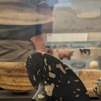 PXL_20230728_115605399