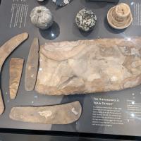 PXL_20230728_115636934