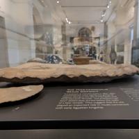 PXL_20230728_115644799