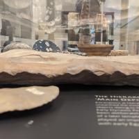 PXL_20230728_115657546