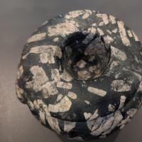 PXL_20230728_115753303