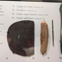 PXL_20230728_120230868.MP