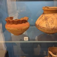 PXL_20230728_120513409