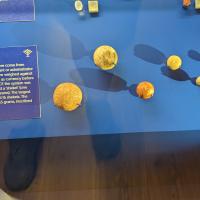 PXL_20230728_122043942