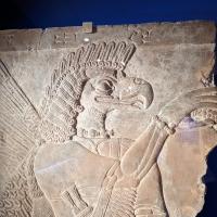 PXL_20230728_122212501.MP