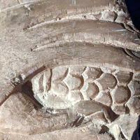 PXL_20230728_122225216