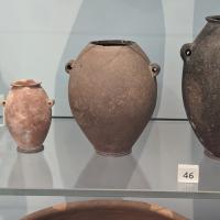 PXL_20230728_133220569.MP