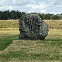 PXL_20230719_101401078