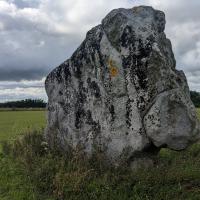 PXL_20230723_161704461