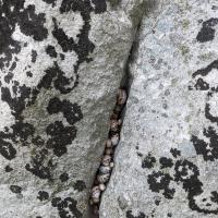 PXL_20230723_162139324