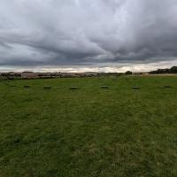 PXL_20230723_170543964