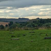 PXL_20230723_170617013