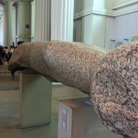 PXL_20230725_091510935