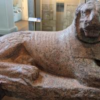 PXL_20230725_092614527.MP