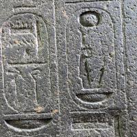 PXL_20230725_092831873