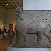 PXL_20230725_093114160.MP