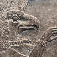 PXL_20230725_093306646