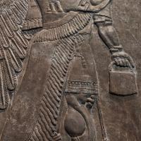 PXL_20230725_093319291.MP