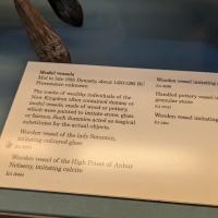 PXL_20230725_095257316