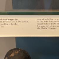 PXL_20230725_095419376