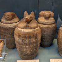 PXL_20230725_095442960