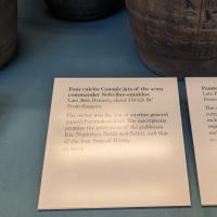 PXL_20230725_095450796