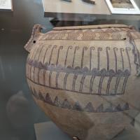 PXL_20230725_095723061