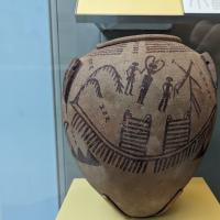 PXL_20230725_095727073.MP