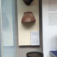 PXL_20230725_100307561.MP