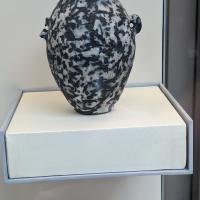 PXL_20230725_100607072